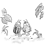  Idee: Uli Masuth   Zeichnung: J.A. Smolczyk 